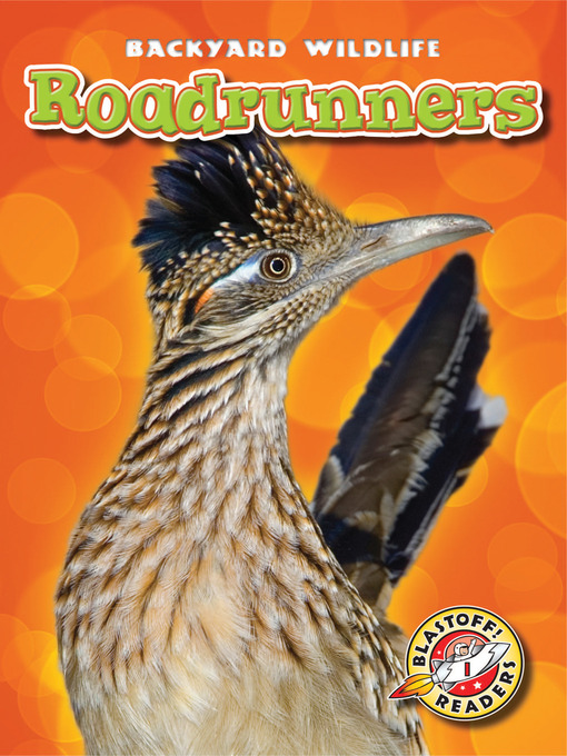Title details for Roadrunners by Megan Borgert-Spaniol - Available